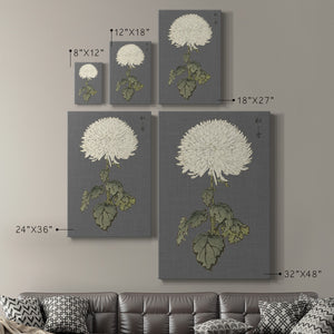 Dramatic Ivory Mums I Premium Gallery Wrapped Canvas - Ready to Hang