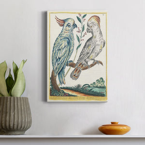 Pastel Birds I - Canvas Art Print