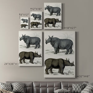 Journal of Natural History IX - Canvas Art Print