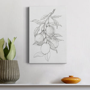 Fruit-Bearing Branch I - Canvas Art Print