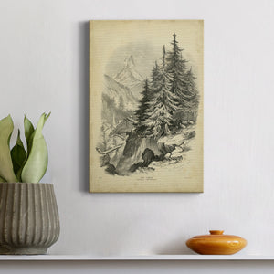 The Larch - Canvas Art Print