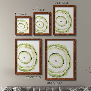 Lichen Halo III - Barnwood Framed Canvas Set