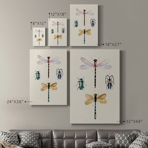 Insect Varieties I - Canvas Art Print