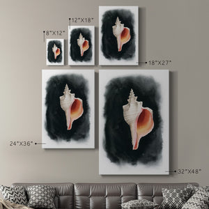 Conch on Black II - Canvas Art Print
