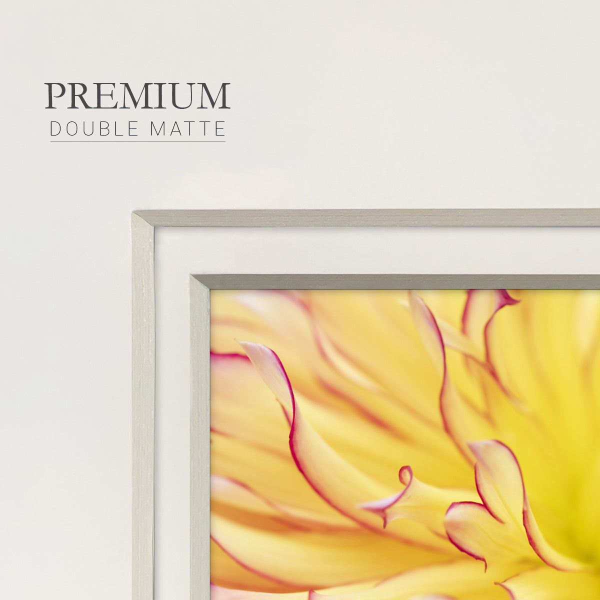 Blooms III Premium Framed Print Double Matboard