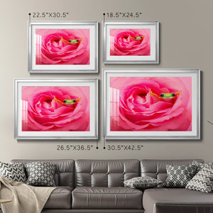 Hanging On VIII - Modern Framed Art Print