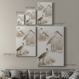 Sepia Water Birds II Premium Gallery Wrapped Canvas - Ready to Hang