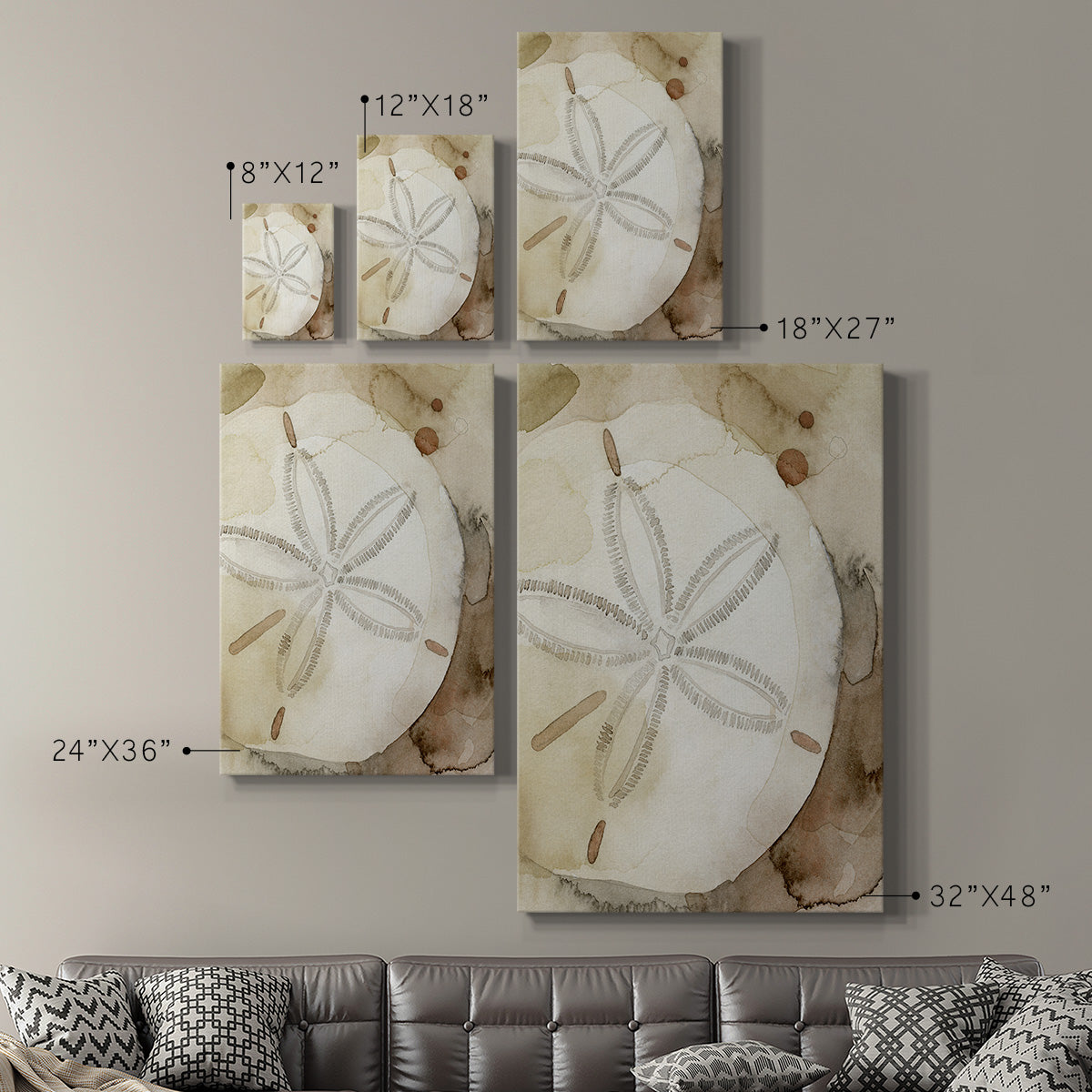 Dry Sand Dollar I Premium Gallery Wrapped Canvas - Ready to Hang