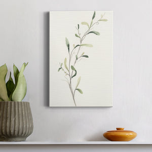 Spindle Sprig IV Premium Gallery Wrapped Canvas - Ready to Hang