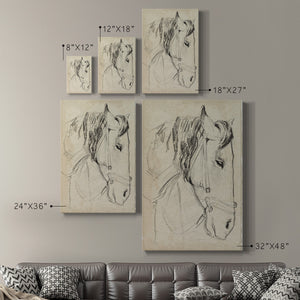 Horse in Bridle Sketch I - Canvas Art Print