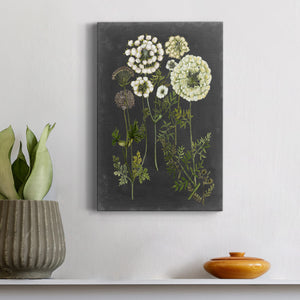 Bookplate Floral II Premium Gallery Wrapped Canvas - Ready to Hang