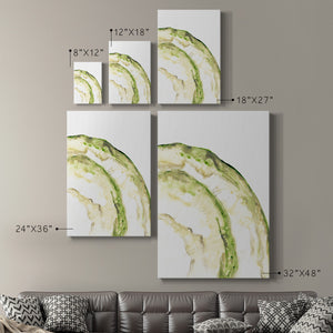 Lichen Halo VI - Canvas Art Print