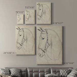 Horse in Bridle Sketch II - Canvas Art Print