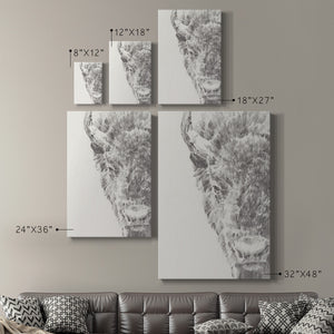 Graphite Bison Portrait I - Canvas Art Print