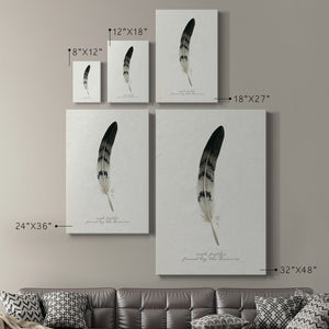 Found Feather I - Canvas Art Print