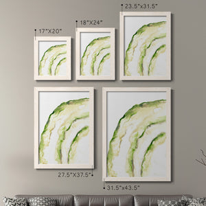Lichen Halo I - Barnwood Framed Canvas Set