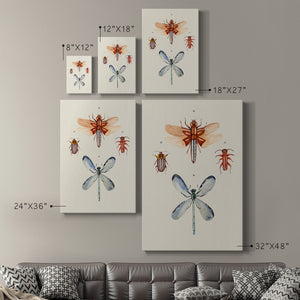 Insect Varieties IV - Canvas Art Print