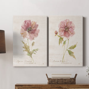 Soft Poppy Premium Gallery Wrapped Canvas - Ready to Hang - Set of 2 - 8 x 12 Each