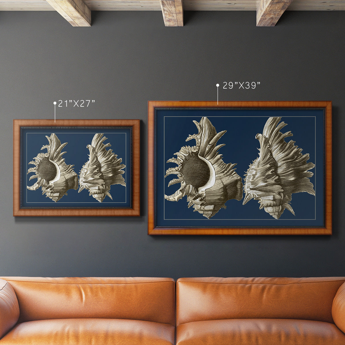 Conch Shells on Navy II Premium Framed Canvas- Ready to Hang