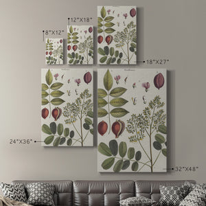 Exotic Botanique I - Canvas Art Print
