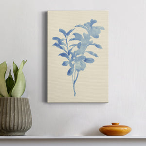Verditer Fig II - Canvas Art Print