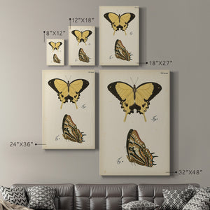 Butterfly Profile II - Canvas Art Print