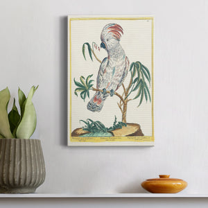 Pastel Birds II - Canvas Art Print