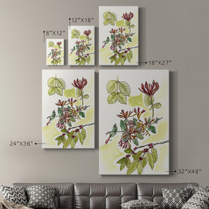Floral Field Notes IV Premium Gallery Wrapped Canvas - Ready to Hang