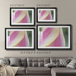 Delicate - Modern Framed Art Print