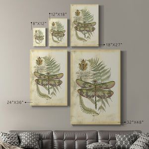 Regal Dragonfly IV (PP)  - Canvas Art Print