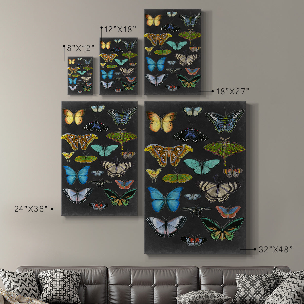 Graphic Butterfly Taxonomy I Premium Gallery Wrapped Canvas - Ready to Hang