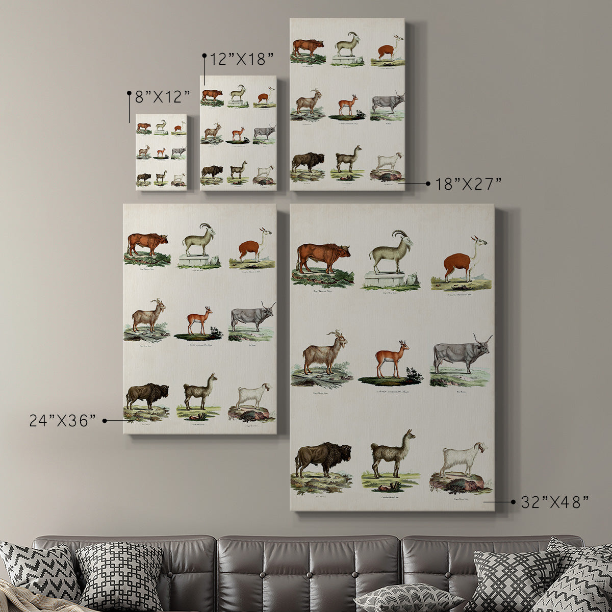 Antique Animal Chart I Premium Gallery Wrapped Canvas - Ready to Hang