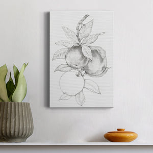 Fruit-Bearing Branch II - Canvas Art Print
