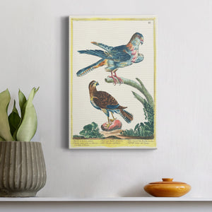 Pastel Birds III - Canvas Art Print