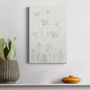 Neutral Queen Anne's Lace I Premium Gallery Wrapped Canvas - Ready to Hang