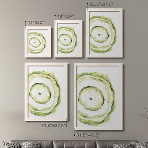 Lichen Halo III - Barnwood Framed Canvas Set