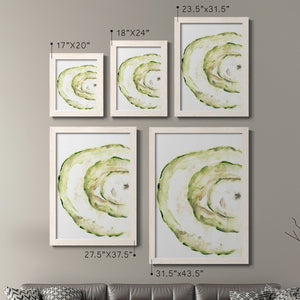 Lichen Halo V - Barnwood Framed Canvas Set
