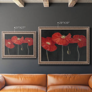 Poppy Trio I Premium Framed Canvas- Ready to Hang
