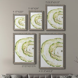 Lichen Halo V - Barnwood Framed Canvas Set