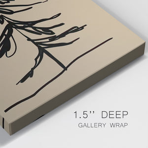 Winter Fir Sketch I - Gallery Wrapped Canvas