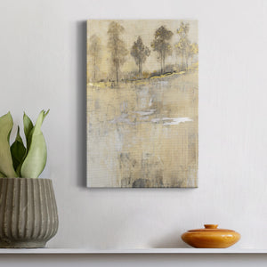 Cloaked in Mist II - Canvas Art Print