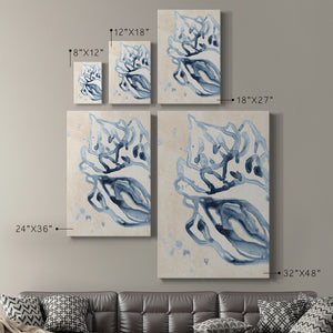 Water Shells II Premium Gallery Wrapped Canvas - Ready to Hang