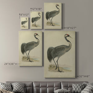 Morris Crane I - Canvas Art Print