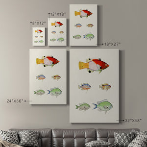 Colorful Tropical Fish I Premium Gallery Wrapped Canvas - Ready to Hang