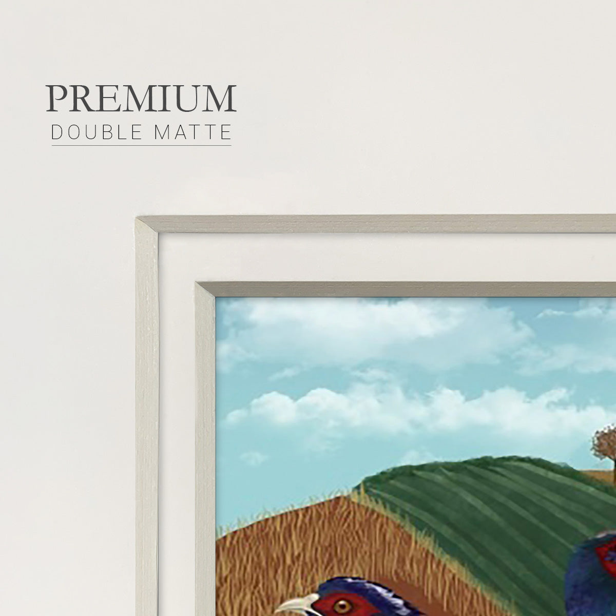 Pheasant Trio in Field Premium Framed Print Double Matboard