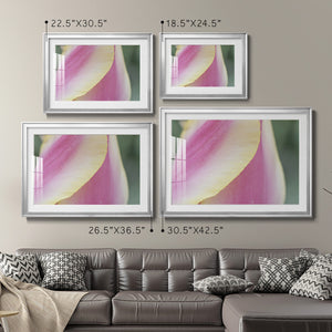 Delicate - Modern Framed Art Print