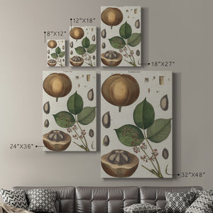 Exotic Botanique III - Canvas Art Print