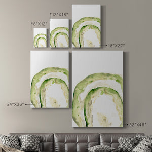 Lichen Halo IV - Canvas Art Print