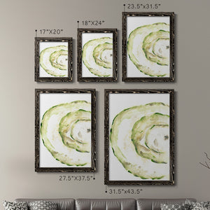 Lichen Halo V - Barnwood Framed Canvas Set