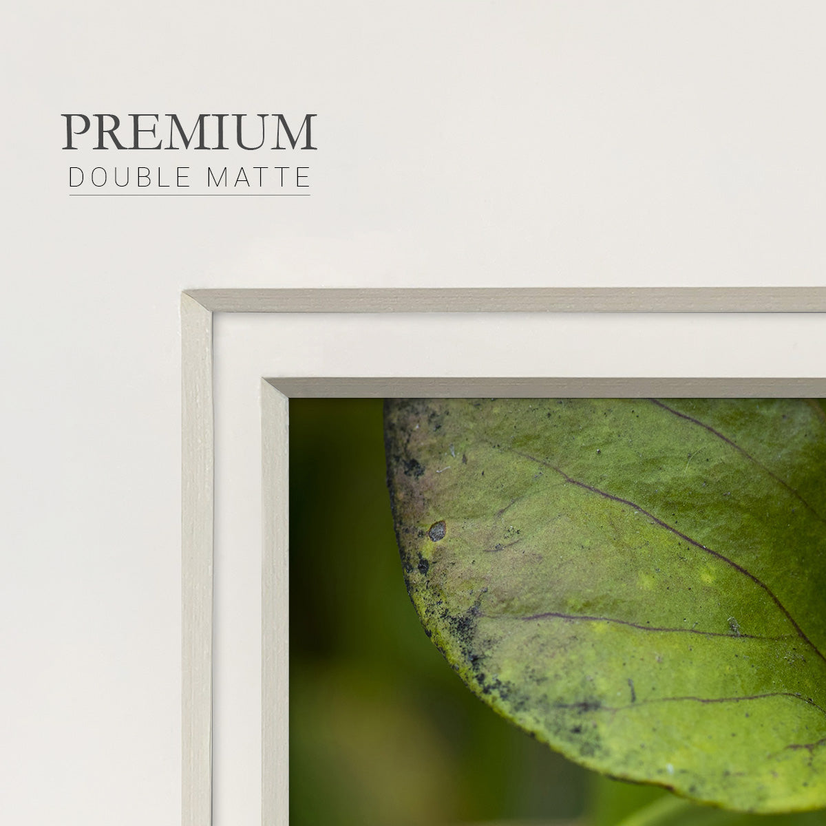 Arboreal Refuge Premium Framed Print Double Matboard